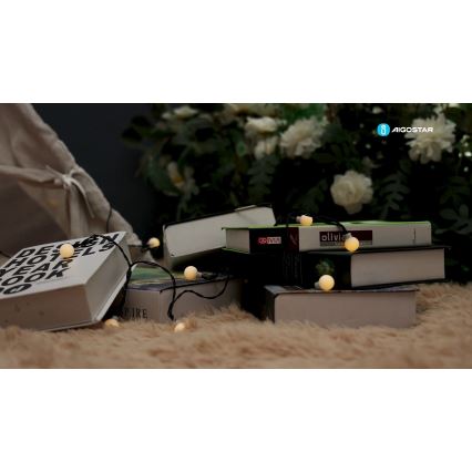 Aigostar - LED Saulės Dekoratyvinė girlianda 50xLED/8 funkcijos 12m IP65 800 mAh šilta balta