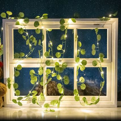 Aigostar - LED saulės girlianda 50xLED/7m IP65 šiltai balta eukalipto spalvos