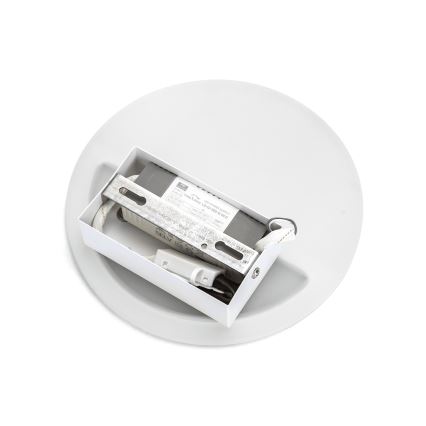 Aigostar - LED sieninis šviestuvas LED/9W/230V 2700K balta