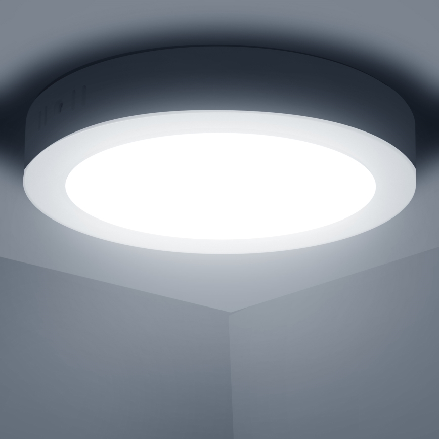 Aigostar - LED tvirtinamas lubinis šviestuvas LED/12W/230V diametras 17,4 cm 6500K balta