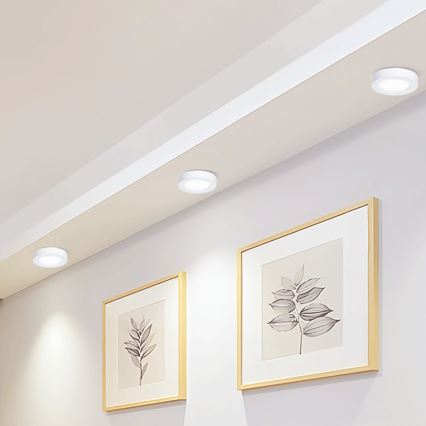 Aigostar - LED tvirtinamas lubinis šviestuvas LED/12W/230V diametras 17,4 cm 6500K balta