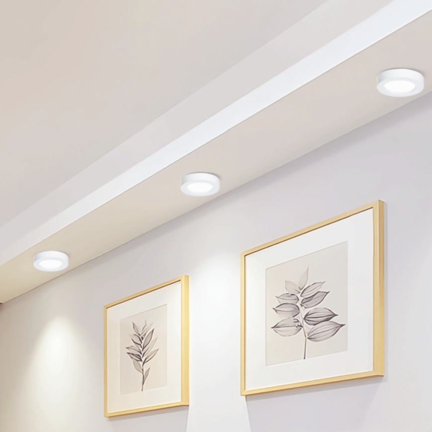 Aigostar - LED tvirtinamas lubinis šviestuvas LED/12W/230V diametras 17,4 cm 6500K balta