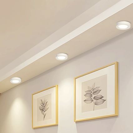Aigostar - LED tvirtinamas lubinis šviestuvas LED/18W/230V diametras 22,6 cm 4000K balta