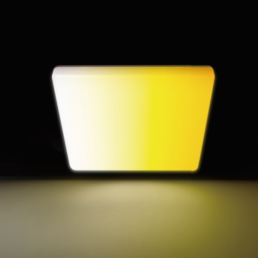 Aigostar - reguliuojamas LED lubinis šviestuvas vonios kambariui LED/18W/230V 3000K-6500K IP54 + nuotolinis valdymas