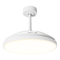 Aigostar - lubinis ventiliatorius su reguliuojamu LED apšvietimu LED/50W/230V 2700-6500K skers. 106cm balta + nuotolinis valdymas