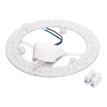 Aigostar - magnetinis LED modulis 24W/230V 6500K