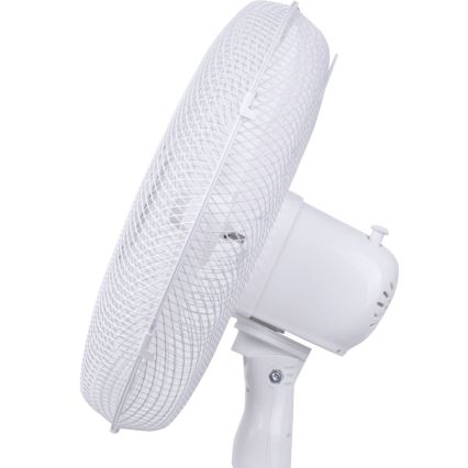 Aigostar - Pastatomas ventiliatorius 40W/230V 120 cm balta