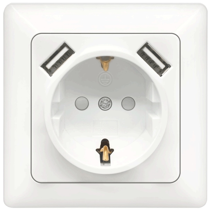 Aigostar - SCHUKO sieninis lizdas 250V + 2x USB su rėmeliu, baltas