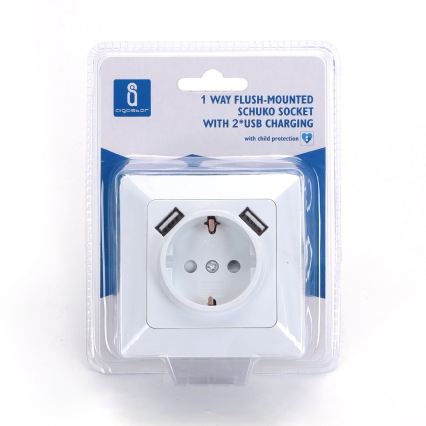 Aigostar - SCHUKO sieninis lizdas 250V + 2x USB su rėmeliu, baltas