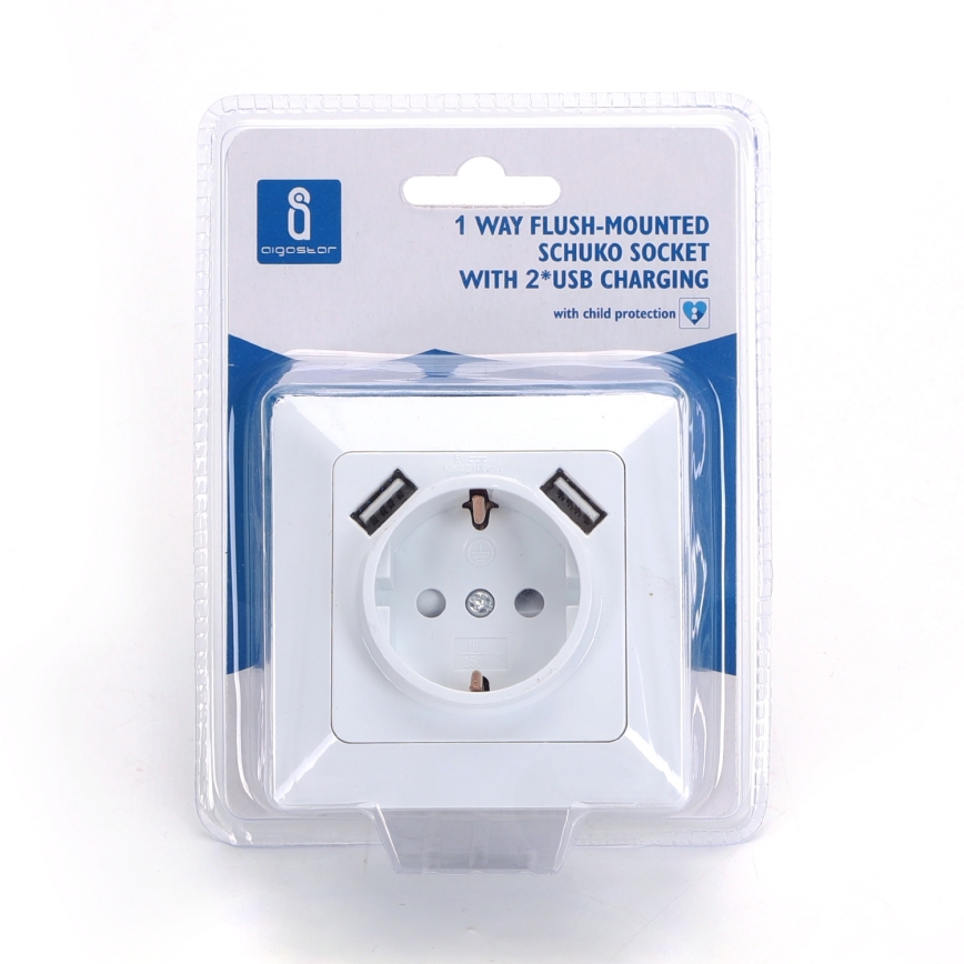 Aigostar - SCHUKO sieninis lizdas 250V + 2x USB su rėmeliu, baltas