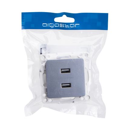 Aigostar - USB maitinimo lizdas be rėmelio 2x USB-A sidabrinis