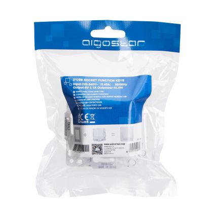Aigostar - USB maitinimo lizdas be rėmelio 2x USB-A sidabrinis