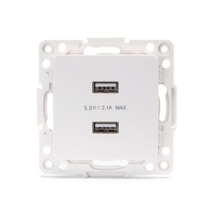 Aigostar - USB maitinimo lizdas be rėmo, 2x USB‑A, baltas