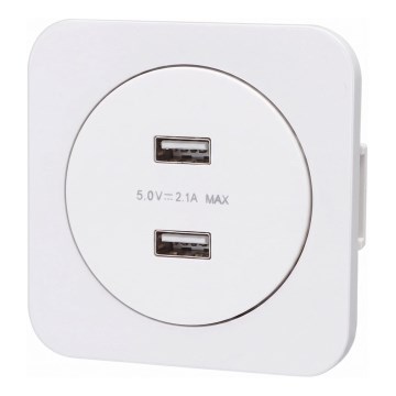 Aigostar - USB maitinimo lizdas su rėmeliu, 2x USB-A, baltas