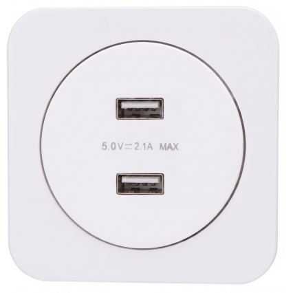 Aigostar - USB maitinimo lizdas su rėmeliu, 2x USB-A, baltas