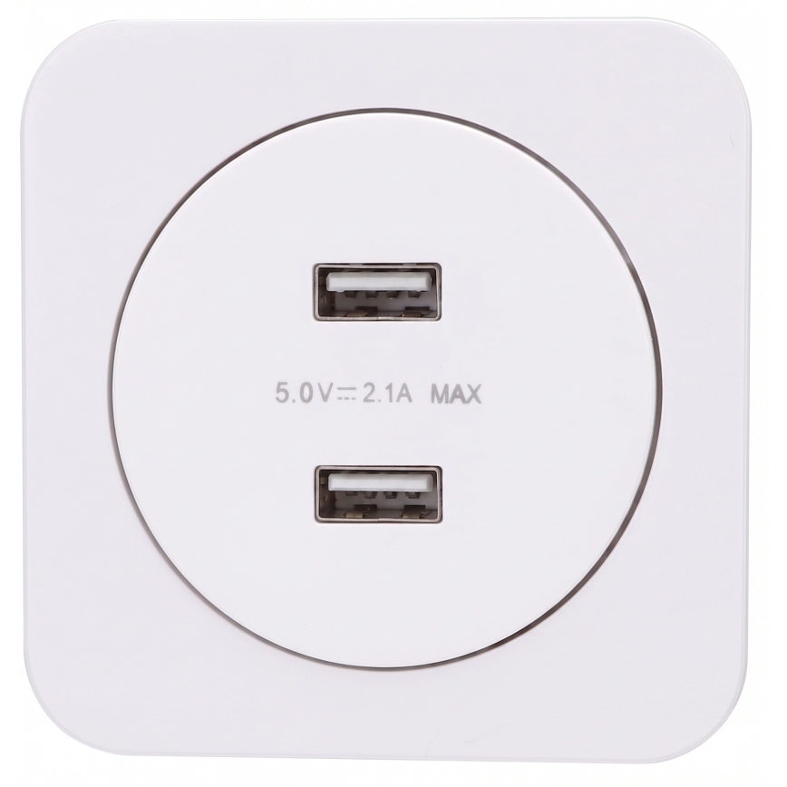 Aigostar - USB maitinimo lizdas su rėmeliu, 2x USB-A, baltas