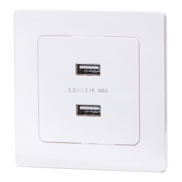 Aigostar - USB maitinimo lizdas su rėmeliu, 2x USB-A, baltas