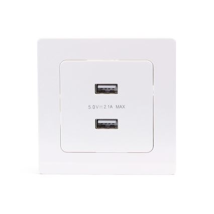 Aigostar - USB maitinimo lizdas su rėmeliu, 2x USB-A, baltas