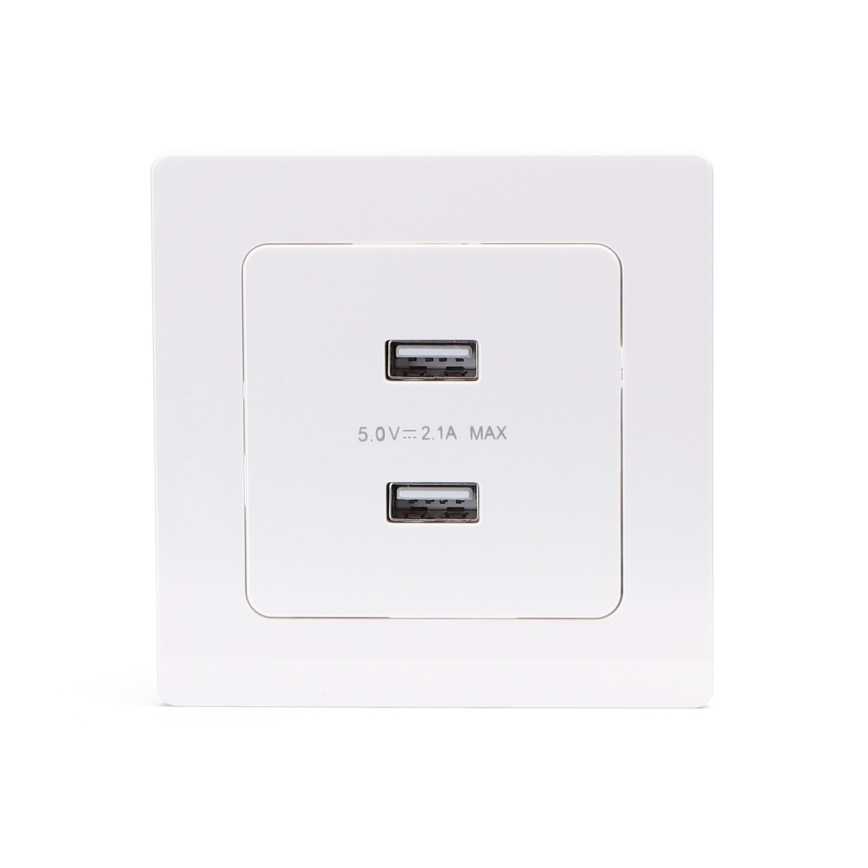 Aigostar - USB maitinimo lizdas su rėmeliu, 2x USB-A, baltas