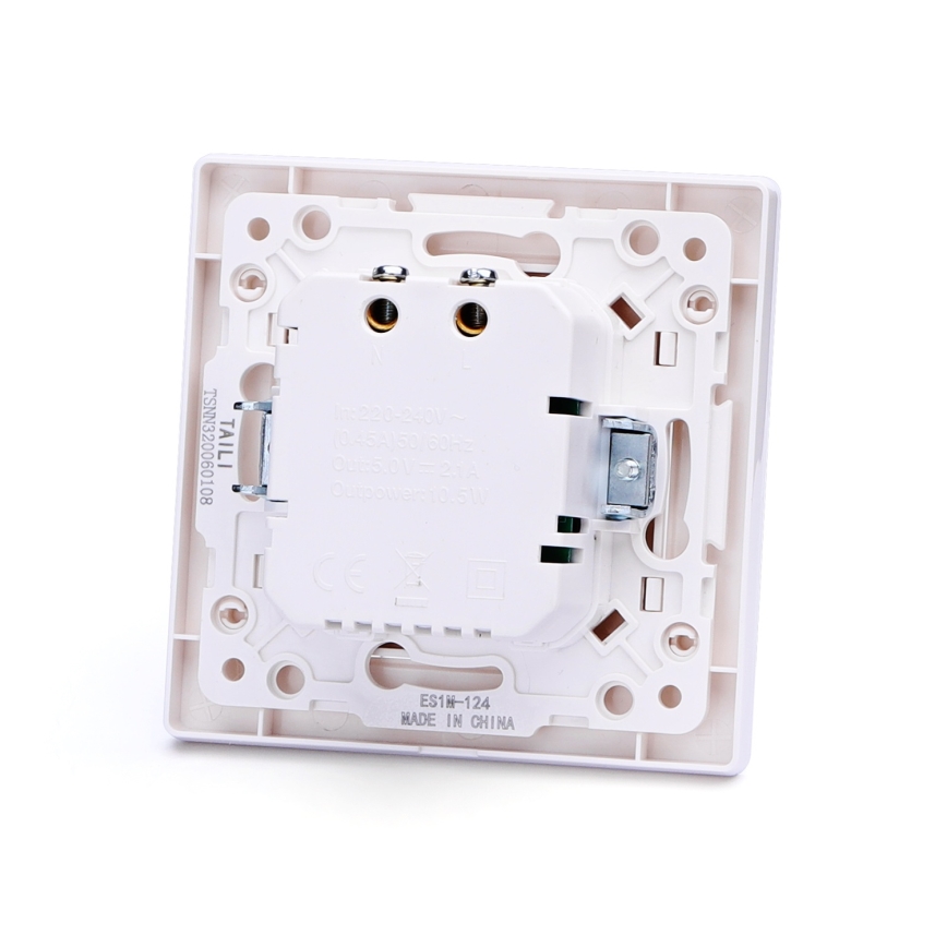 Aigostar - USB maitinimo lizdas su rėmeliu, 2x USB-A, baltas