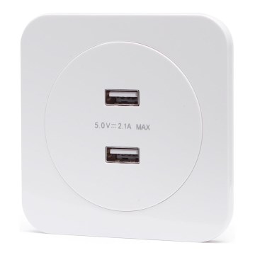 Aigostar - USB maitinimo lizdas su rėmeliu, 2x USB-A, baltas
