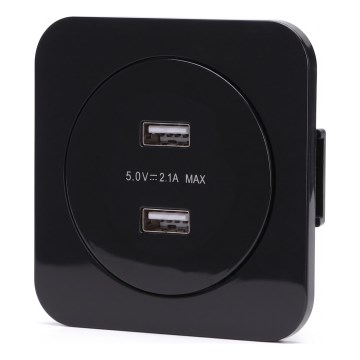 Aigostar - USB maitinimo lizdas su rėmeliu 2x USB-A juodas