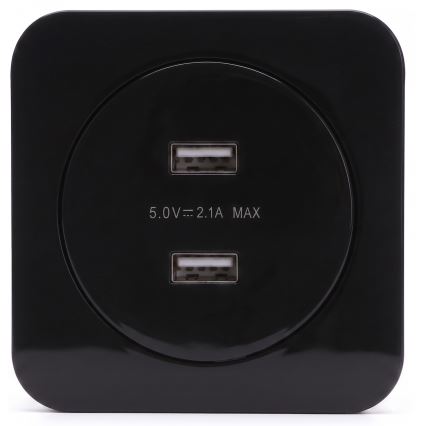 Aigostar - USB maitinimo lizdas su rėmeliu 2x USB-A juodas