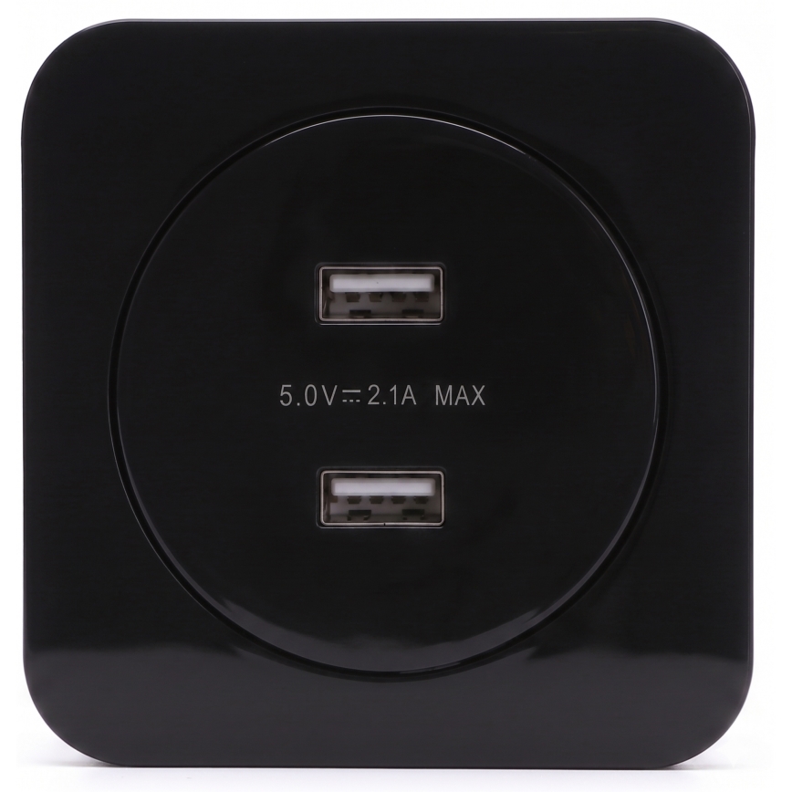 Aigostar - USB maitinimo lizdas su rėmeliu 2x USB-A juodas