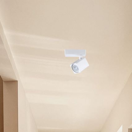 Akcentinis apšvietimas 1xGU10/7W/230V balta