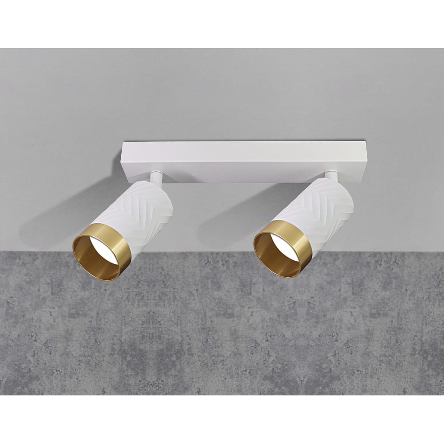 Akcentinis apšvietimas ARRAS 2xGU10/10W/230V balta