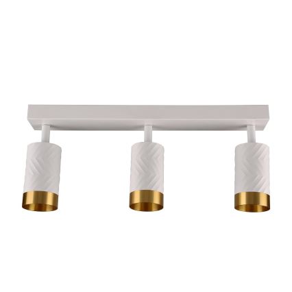 Akcentinis apšvietimas ARRAS 3xGU10/10W/230V balta