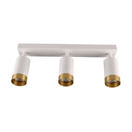 Akcentinis apšvietimas ARRAS 3xGU10/10W/230V balta