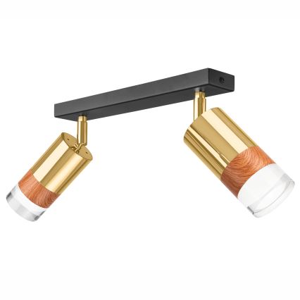 Akcentinis apšvietimas AURORA 2xGU10/10W/230V