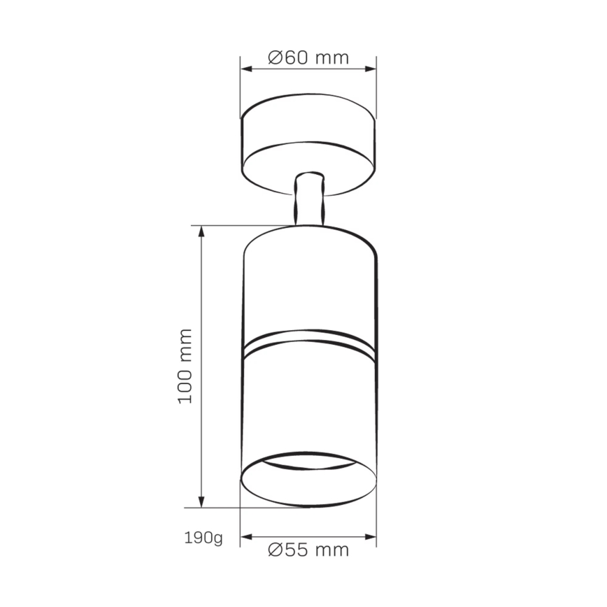 Akcentinis apšvietimas BAMBOO 1xGU10/10W/230V balta