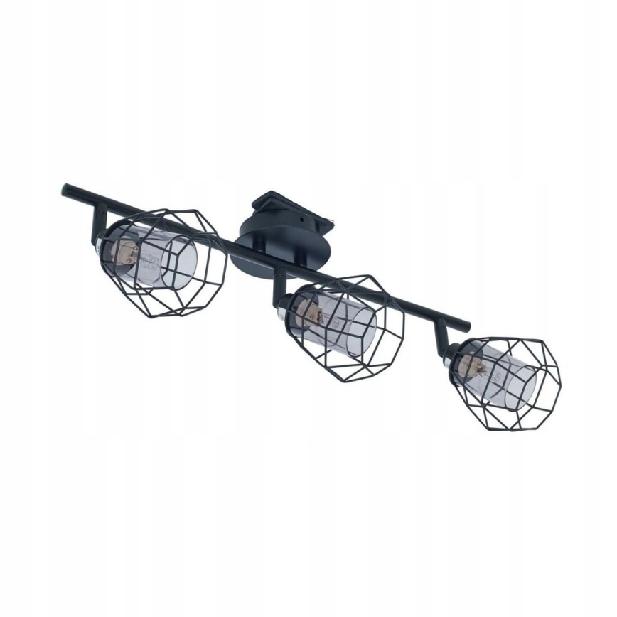 Akcentinis apšvietimas BARON 3xG9/28W/230V