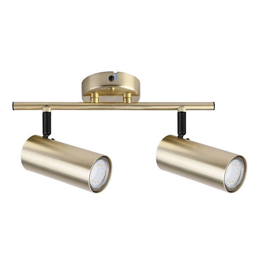 Akcentinis apšvietimas COLLY 2xGU10/15W/230V auksas