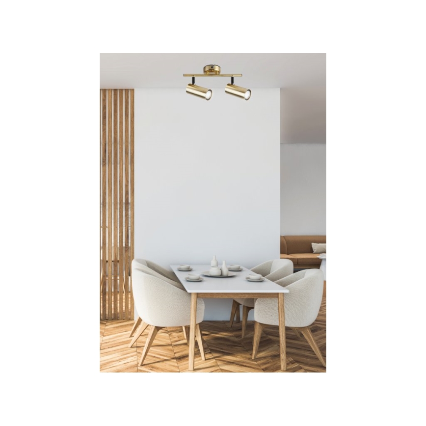 Akcentinis apšvietimas COLLY 2xGU10/15W/230V auksas