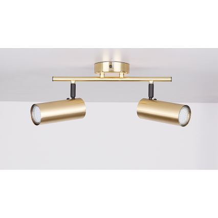 Akcentinis apšvietimas COLLY 2xGU10/15W/230V auksas