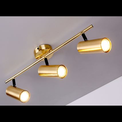 Akcentinis apšvietimas COLLY 3xGU10/15W/230V auksas