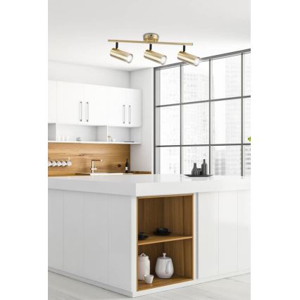 Akcentinis apšvietimas COLLY 3xGU10/15W/230V auksas