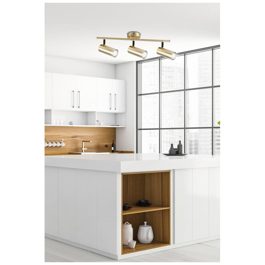 Akcentinis apšvietimas COLLY 3xGU10/15W/230V auksas