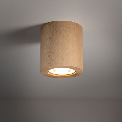 Akcentinis apšvietimas EVE 1xGU10/10W/230V bukas