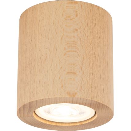 Akcentinis apšvietimas EVE 1xGU10/10W/230V bukas