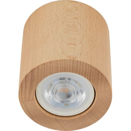 Akcentinis apšvietimas EVE 1xGU10/10W/230V bukas
