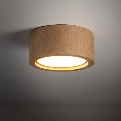 Akcentinis apšvietimas EVE 1xGX53/11W/230V bukas