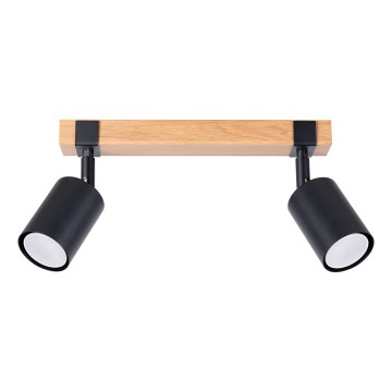Akcentinis apšvietimas FAGER 2xGU10/10W/230V juoda