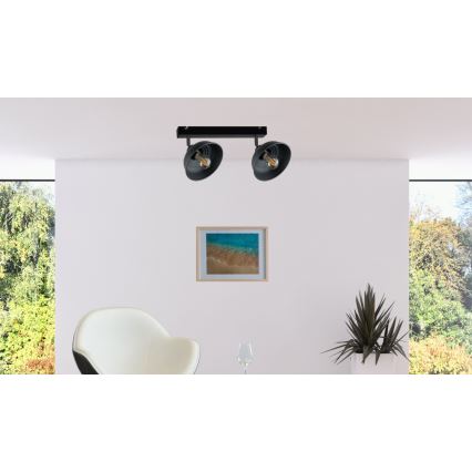 Akcentinis apšvietimas FAUN 2xE27/60W/230V juoda