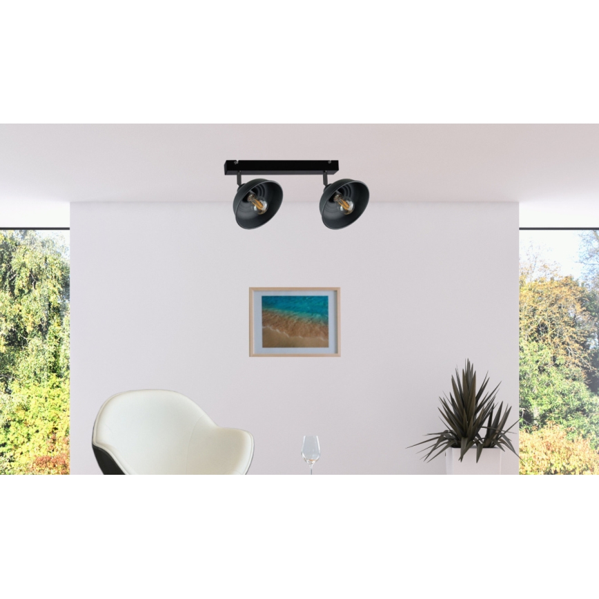 Akcentinis apšvietimas FAUN 2xE27/60W/230V juoda