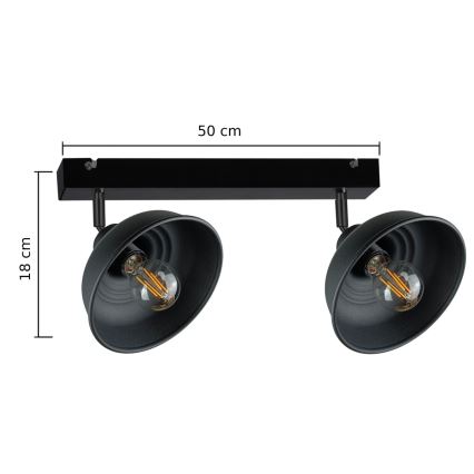 Akcentinis apšvietimas FAUN 2xE27/60W/230V juoda