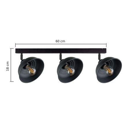 Akcentinis apšvietimas FAUN 3xE27/60W/230V juoda